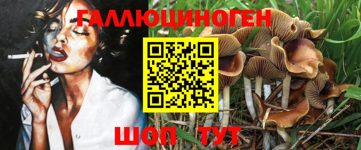 Псилоцибиновые грибы Psilocybe Горячий Ключ